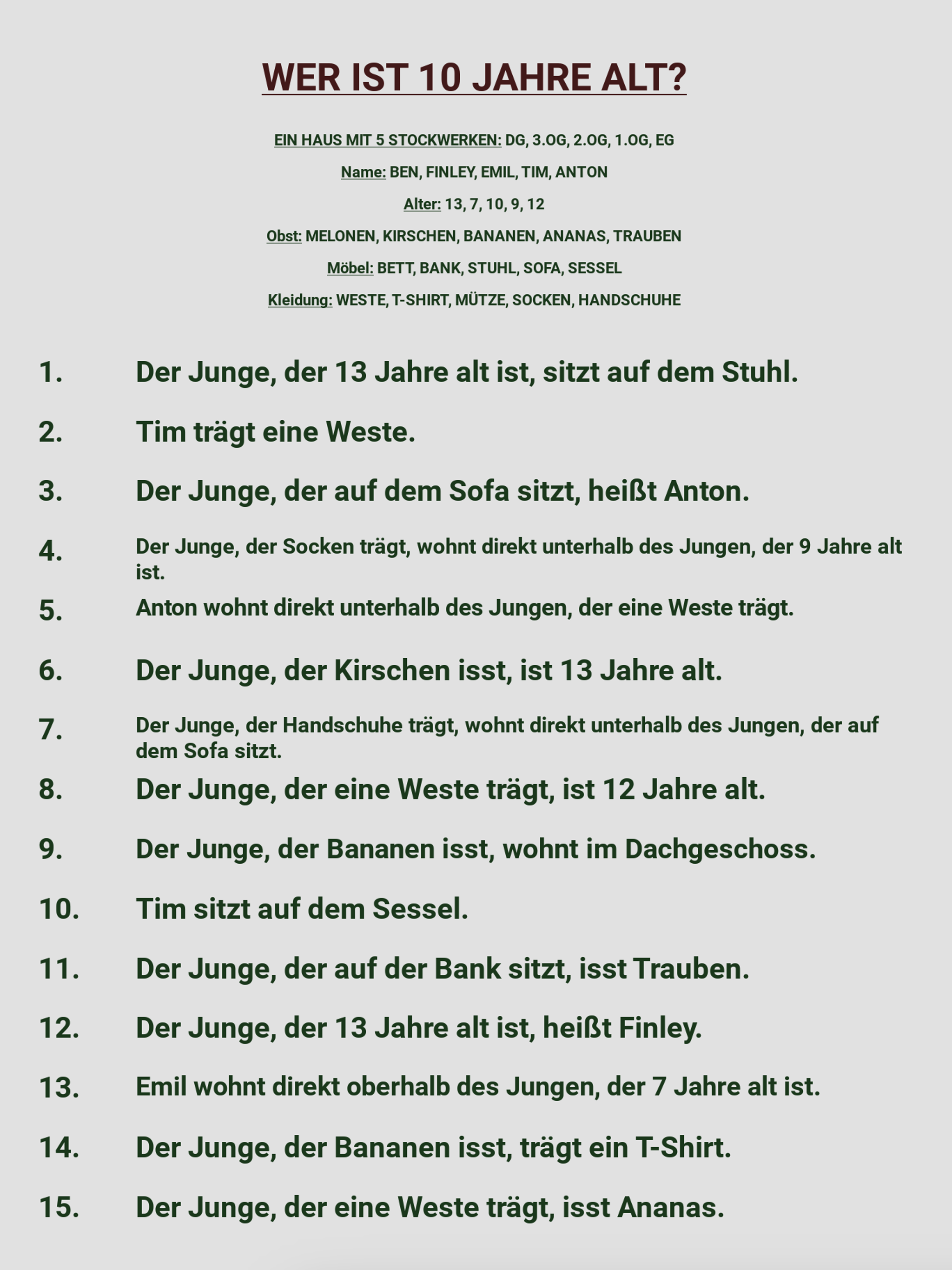 EINSTEIN PUZZLES: HINWEISE